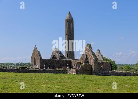 Les ruines de l'abbaye de Kilmacduagh dans le comté de Galway, en Irlande, présentent une grande tour ronde distinctive et des vestiges d'église en pierre antique. Entouré d'un champ vert Banque D'Images