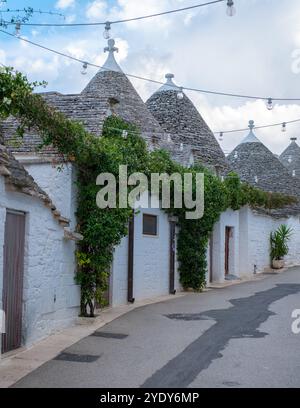 Alberobello serpentant à travers une rue calme dans les Pouilles, les maisons de trulli enchanteresses, drapées dans une végétation luxuriante, dégagent une beauté intemporelle. Une lumière douce jaillit de cordes d'ampoules, faisant allusion aux rassemblements du soir Banque D'Images