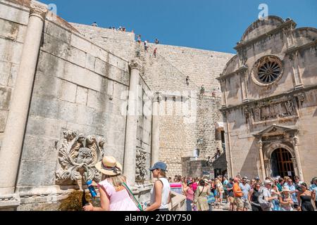 Dubrovnik Croatie,vieille ville Stari Grad Ragusa ville fortifiée,Stradun Placa rue principale, coupole en dôme d'Onofrio Grande Fontaine Velika Onofrijeva Fontana,aqu Banque D'Images