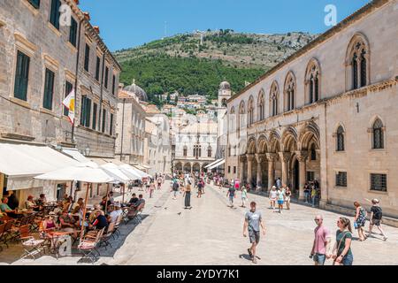 Dubrovnik Croatie,vieille ville Stari Grad Ragusa ville fortifiée,Ulica Pred Dvorom rue,visiteurs touristes,Palais du Recteur Kulturno-povijesni muzej u Knezevu Banque D'Images