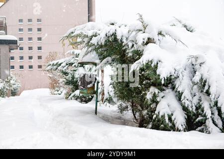 Rue à Cracovie après les chutes de neige, les plantes et les bâtiments couverts de neige Banque D'Images