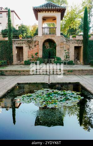 Palais de l'Alhambra, Grenade, Espagne. Reflet serein des jardins du palais de l'alhambra dans un étang couvert de nénuphars Banque D'Images