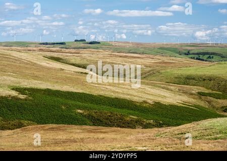 Les éoliennes de Carno Wind Farm se trouvent sur Trannon Moor, sur les collines de Powys, au centre du pays de Galles. Banque D'Images