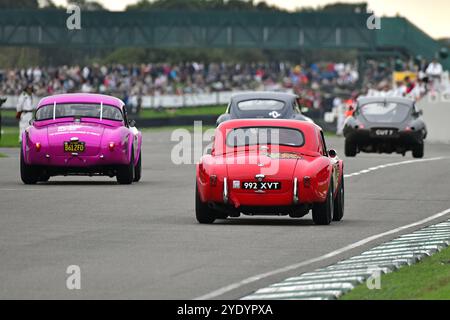 Nigel Greensall, John Spiers, AC Cobra, Stirling Moss Memorial Trophy, avec des GT à cockpit fermé qui ont couru avant 1963, une heure, deux pilotes Banque D'Images