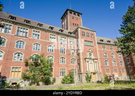 Alter Landtag, Brauhausberg, Potsdam, Brandebourg, Allemagne Banque D'Images