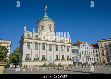 Altes Rathaus, Musée Potsdam, Alter Markt, Potsdam, Brandebourg, Deutschland Banque D'Images