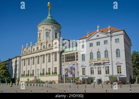 Altes Rathaus, Musée Potsdam, Alter Markt, Potsdam, Brandebourg, Deutschland Banque D'Images