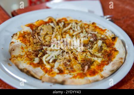Une délicieuse pizza à la croûte fine, garnie de fromage, de sauce tomate et d’herbes, coupée en six tranches sur une assiette blanche. Ses couleurs éclatantes Banque D'Images