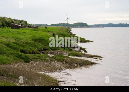 Les promeneurs explorent les Purton Hulks à côté de l'estuaire de Severn et du canal Gloucester & Sharpness sur le sentier Severn Way dans le Gloucestershire. Banque D'Images