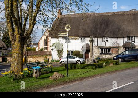 Les jonquilles de printemps poussent sur le vert du village à côté des chalets de chaume traditionnels à Ashbury, Oxfordshire. Banque D'Images