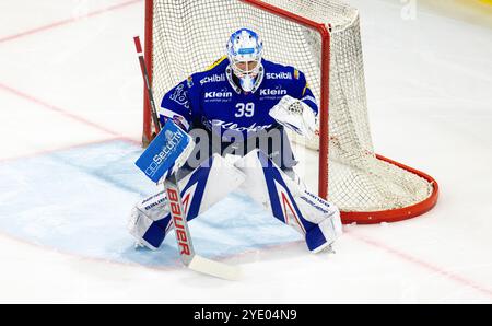 Kloten, Suisse, 9 octobre 2024 : #39 Sandro Zurkirchen, gardien de but EHC Kloten. (Photo Andreas Haas/dieBildmanufaktur) Banque D'Images