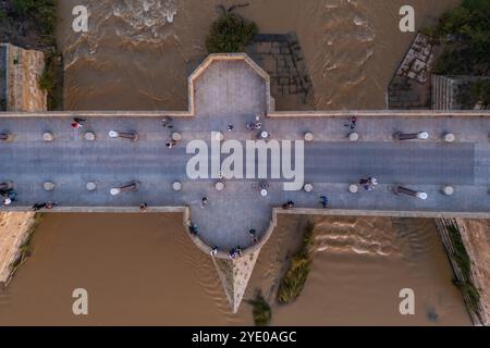 Vue aérienne du Pont de pierre (Puente de Piedra), Saragosse, Espagne Banque D'Images