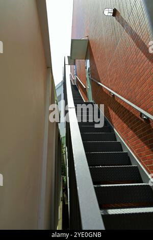 Un escalier de secours métallique menant directement au toit entre deux bâtiments Banque D'Images