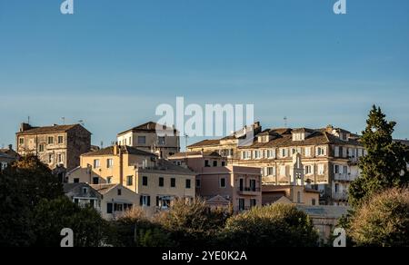 Altstadt von Korfu Blick auf die Altstadt von Korfu-Stadt, Griechenland *** vieille ville de Corfou vue de la vieille ville de Corfou, Grèce Copyright : xNikolaixKislichkox IMG 6409 Banque D'Images