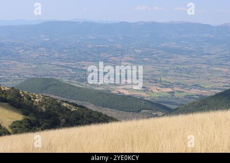 Collines couvertes de bois verdoyants et d'herbe jaune surplombant la campagne rurale italienne Banque D'Images