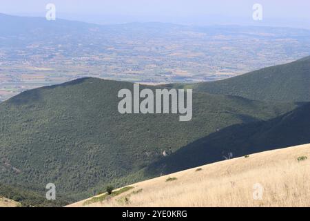 Collines couvertes de bois verdoyants et d'herbe jaune surplombant la campagne rurale italienne Banque D'Images