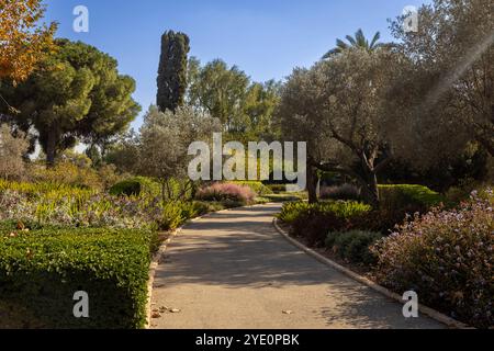 Un chemin dans un parc israélien bien entretenu parmi les herbes parfumées, les palmiers, les cyprès et les arbustes Banque D'Images