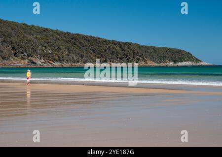 Plage de Badger Head, parc national de Narawntapu, sur la côte nord de la Tasmanie, Australie Banque D'Images