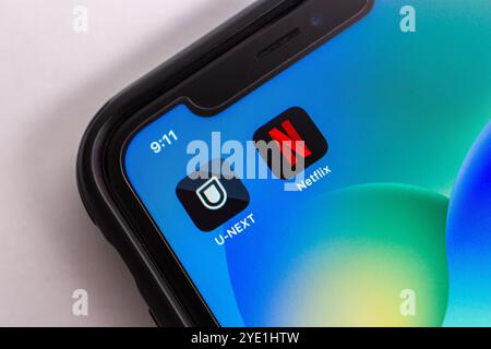 Mexico, MEXIQUE - 22 octobre 2024 : les icônes U-NEXT et Netflix s'affichent sur l'écran d'un iPhone. Banque D'Images