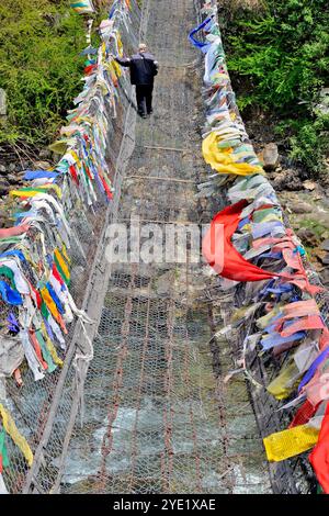 Vue partielle du pont de la chaîne de fer, également connu sous le nom de pont Tamchoe ou Tachog Lhakhang, traverse le Paro Chhu (rivière) jusqu'au Dzong, chokha, Bhoutan Banque D'Images