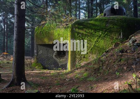 Fort lourd blockhouse tchécoslovaque des années 1930 à Orlické hory MTS. Objet R-S 86 'U paseky' endommagé par des tests d'attente militaires allemands. Vue latérale. Banque D'Images