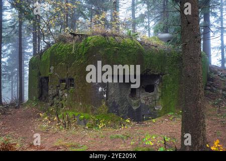 Fort lourd blockhouse tchécoslovaque des années 1930 à Orlické hory MTS. Objet R-S 86 'U paseky' endommagé par des tests d'attente militaires allemands. Vue générale. Banque D'Images