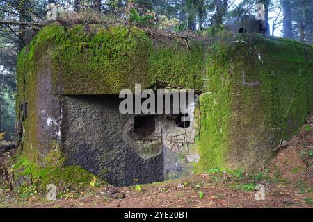 Fort lourd blockhouse tchécoslovaque des années 1930 à Orlické hory MTS. Objet R-S 86 'U paseky' endommagé par des tests d'attente militaires allemands. Côté douves. Banque D'Images