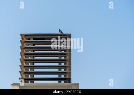 Portrait de pigeon au repos : perché sur le cadre en métal contre ciel bleu clair Banque D'Images