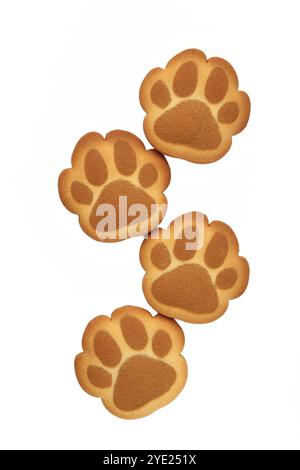 Cookies de patte de chat auto-fabriqués isolés sur fond blanc. Vue de dessus Banque D'Images