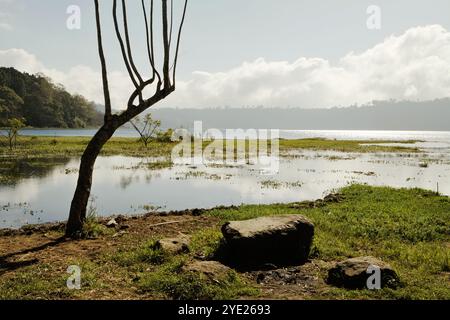 Lac Buyan à Bueleng, Bali, Indonésie. Banque D'Images