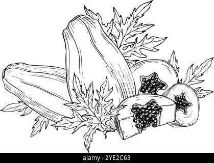 Vecteur fruit de papaye tropicale parmi les feuilles dessinée à la main illustration isolée peinte par des encres noires. Croquis graphique de plante de pawpaw sucré entier et tranché Illustration de Vecteur