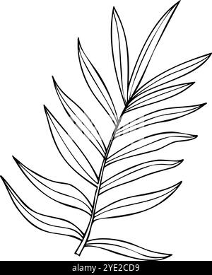 Vector dypsis, Areca Palm ou Cycas feuilles isolées Line art dessin à l'encre noire. Silhouette de feuille d'arbre monochrome tropical. Elément de plante d'intérieur Illustration de Vecteur