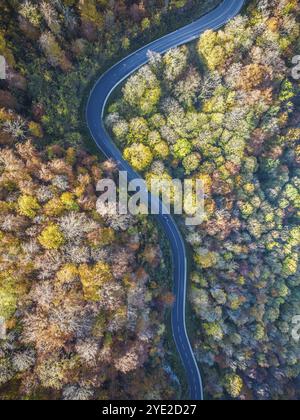 Route de campagne sinueuse à travers une forêt avec des arbres de couleur automnale, Souabe Alb en automne. Vue aérienne. Lenningen, Bade-Wuertemberg, Allemagne, Europe Banque D'Images