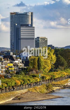 Skyline Bonn sur le Rhin, devant le secrétariat de la CCNUCC de la Convention-cadre sur les changements climatiques, au centre de la tour des Nations Unies b Banque D'Images