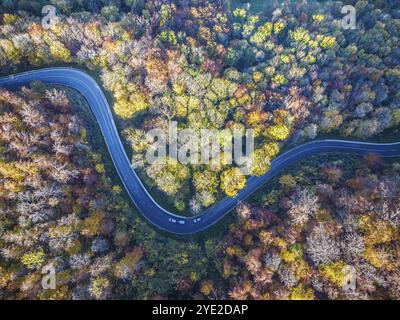 Route de campagne sinueuse à travers une forêt avec des arbres de couleur automnale, Souabe Alb en automne. Vue aérienne. Lenningen, Bade-Wuertemberg, Allemagne, Europe Banque D'Images