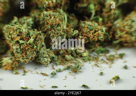 Focus sélectif gros plan de bourgeons de marijuana séchés recouverts de cristaux et de pistils fanés. Le bourgeon de cannabis repose sur une plaque blanche. Copier l'espace en bas de thir Banque D'Images