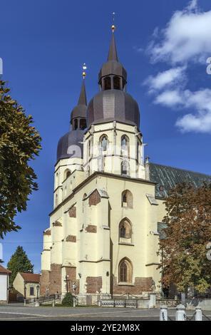 L'église Saint Nicolas est une cathédrale gothique située à Trnava, en Slovaquie. Il a été construit entre 1380 et 1421 Banque D'Images