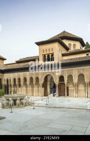 Cour des Lions est la cour principale du palais de la dynastie Nasride, Alhambra, Grenade, Espagne, Europe Banque D'Images