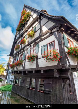 Altes Fachwerkhaus, Schiefes Haus, im Fischerviertel in Ulm, Baden-Württemberg, Deutschland Altes Fachwerkhaus, Schiefes Haus, im Fischerviertel in ul Banque D'Images