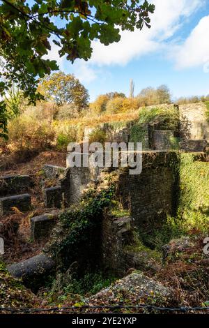 Dark Hill Ironworks. Forêt de Dean, Gloucestershire. ROYAUME-UNI Banque D'Images