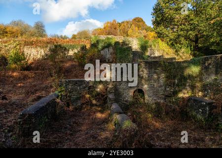 Dark Hill Ironworks. Forêt de Dean, Gloucestershire. ROYAUME-UNI Banque D'Images