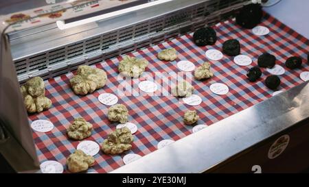 Une exposition vibrante de diverses truffes disposées sur un tissu à carreaux pendant le Festival de la truffe d'Alba en Italie. Les visiteurs admirent les formes uniques Banque D'Images