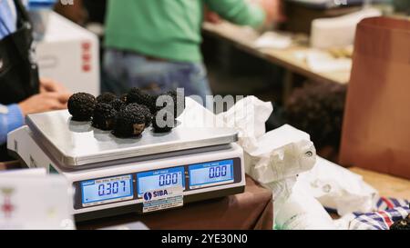 Au Festival de la truffe d’Alba en Italie, les truffes sont soigneusement pesées sur une balance, mettant en évidence les événements axés sur les délices culinaires Banque D'Images