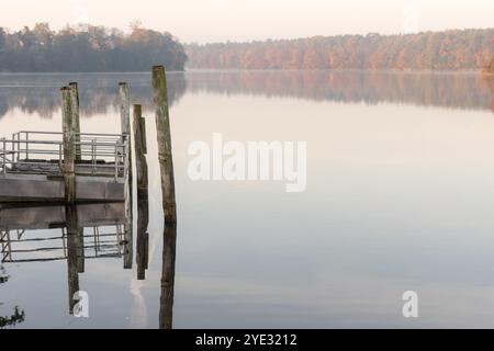 Brume matinale sur le lac Straussee, avec de doux reflets de feuillage d'automne et une jetée en bois projetant des ombres calmes sur l'eau. Banque D'Images