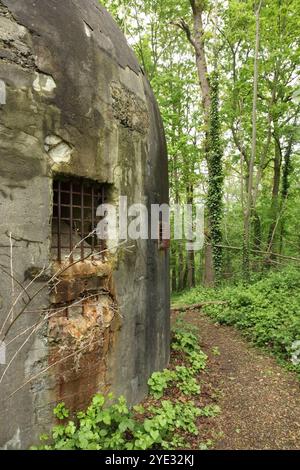 Casemate d'artillerie abandonnée au fort défensif Eben-Emael de la seconde Guerre mondiale, aujourd'hui musée, Bassenge, Belgique. Banque D'Images