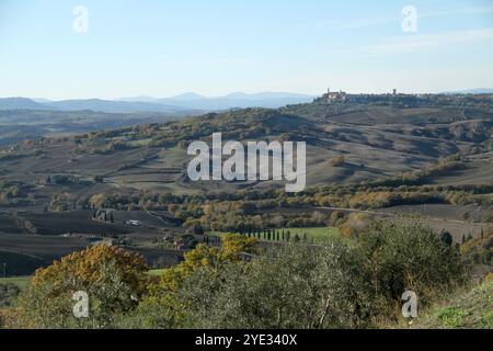 Vue panoramique sur le terrain près de Monticchiello, Italie dans le Val d'Orcia, Toscane Banque D'Images