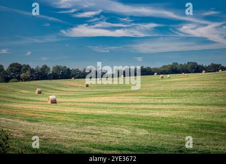 Une scène de campagne sereine avec des balles de foin dispersées dans un champ vert luxuriant sous un ciel bleu clair. Le paysage respire la tranquillité et la rura Banque D'Images