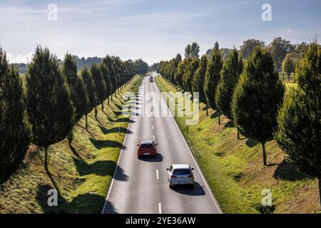 La rue Dorstfelder Allee dans le quartier Dorstfeld, avenue bordée d'arbres, Dortmund, Rhénanie du Nord-Westphalie, Allemagne. Die Dorstfelder Allee im Stadtte Banque D'Images