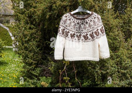 Photo d'un pull traditionnel en laine islandaise tricoté lopapeysa, pull brun blanc avec grand empiècement en motif de tricot écureuil nordique sur verdure Banque D'Images