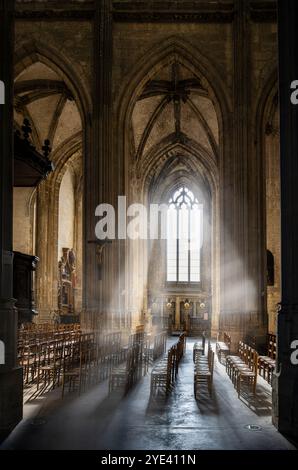 Eglise collégiale catholique Saint-Vulfran, Abbeville, Nord de la France. Banque D'Images